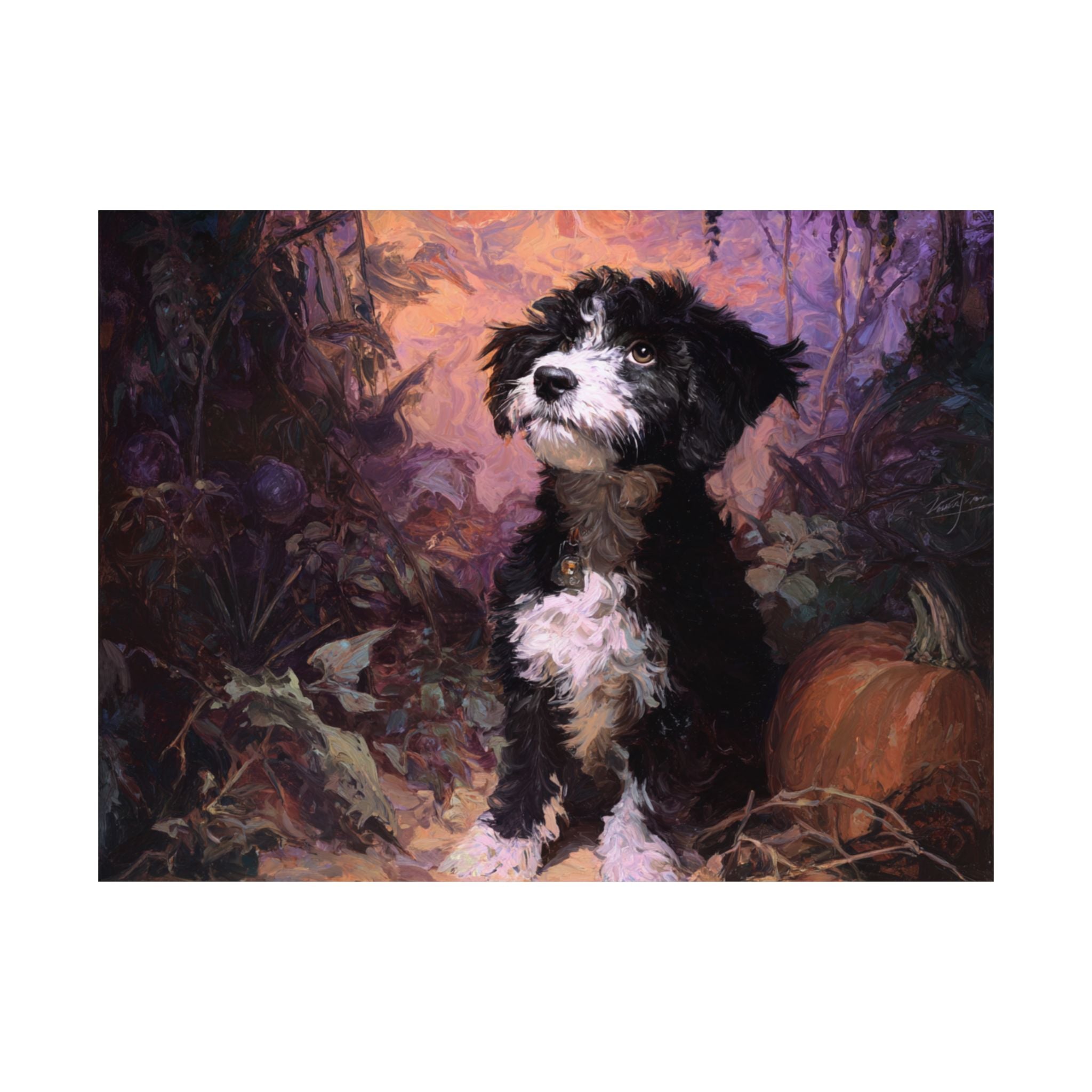 Aussiedoodle 5- Howl-oween Collection