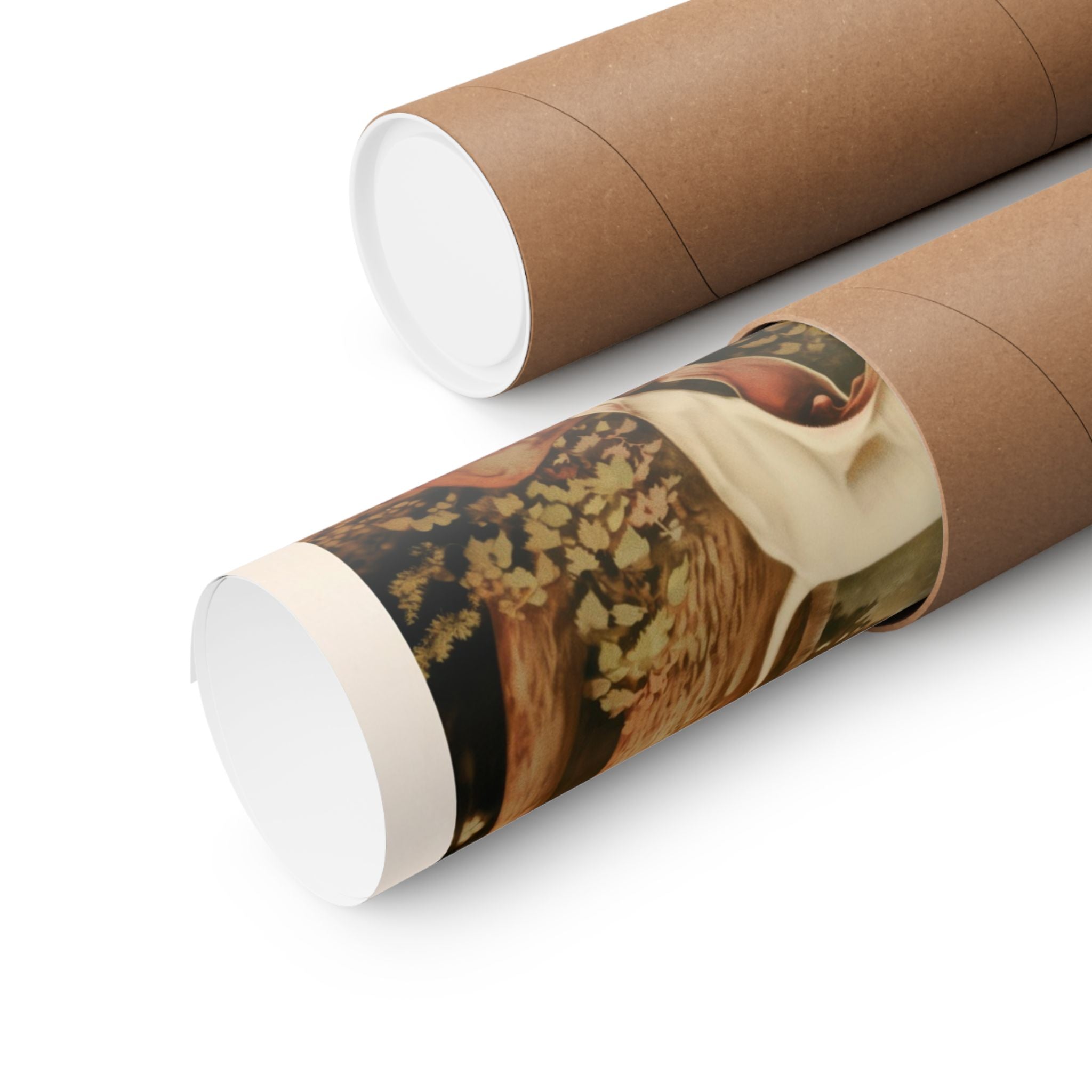 Bull Terrier 3- CFA Edition