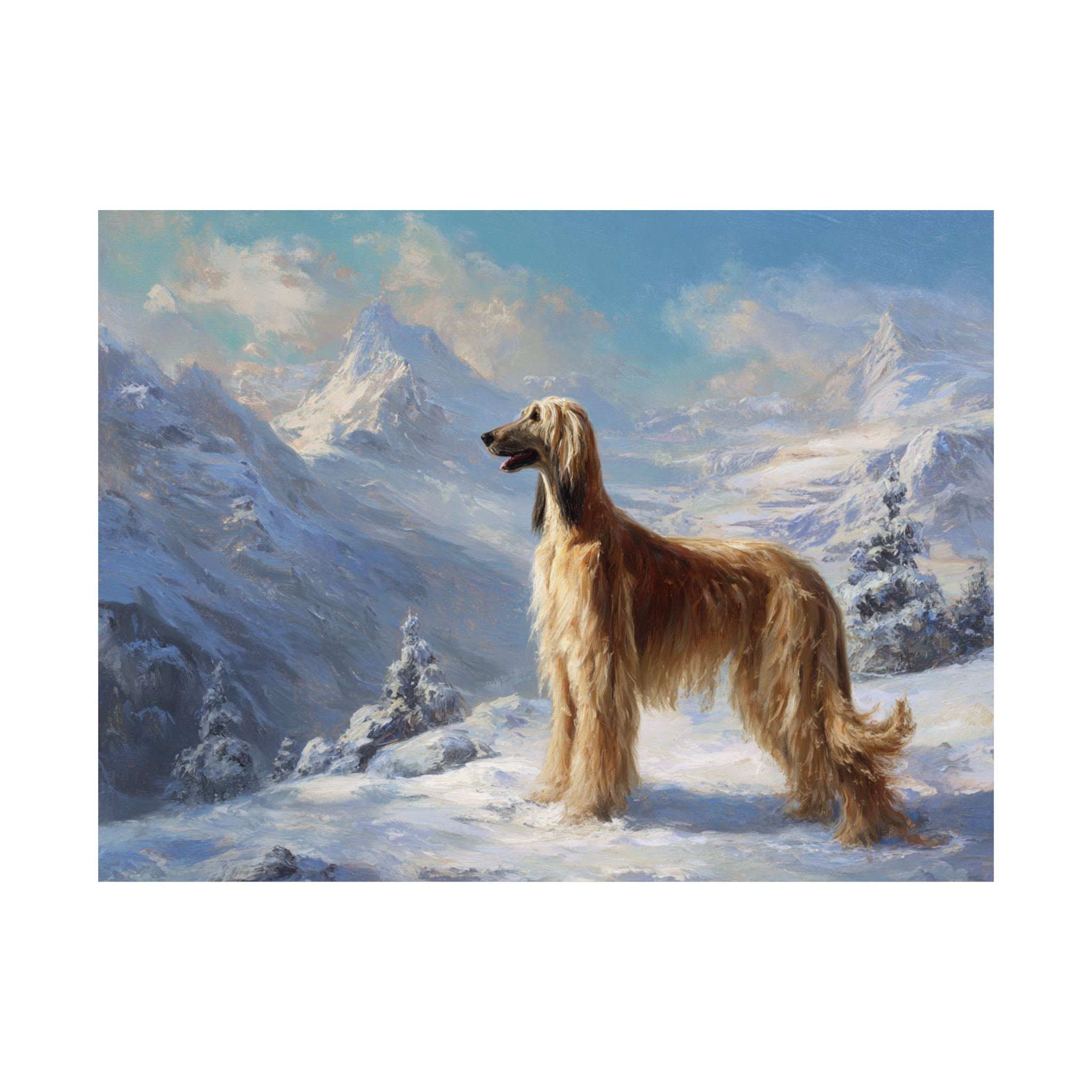 Afghan Hound 2- Winter Whiskers Collection