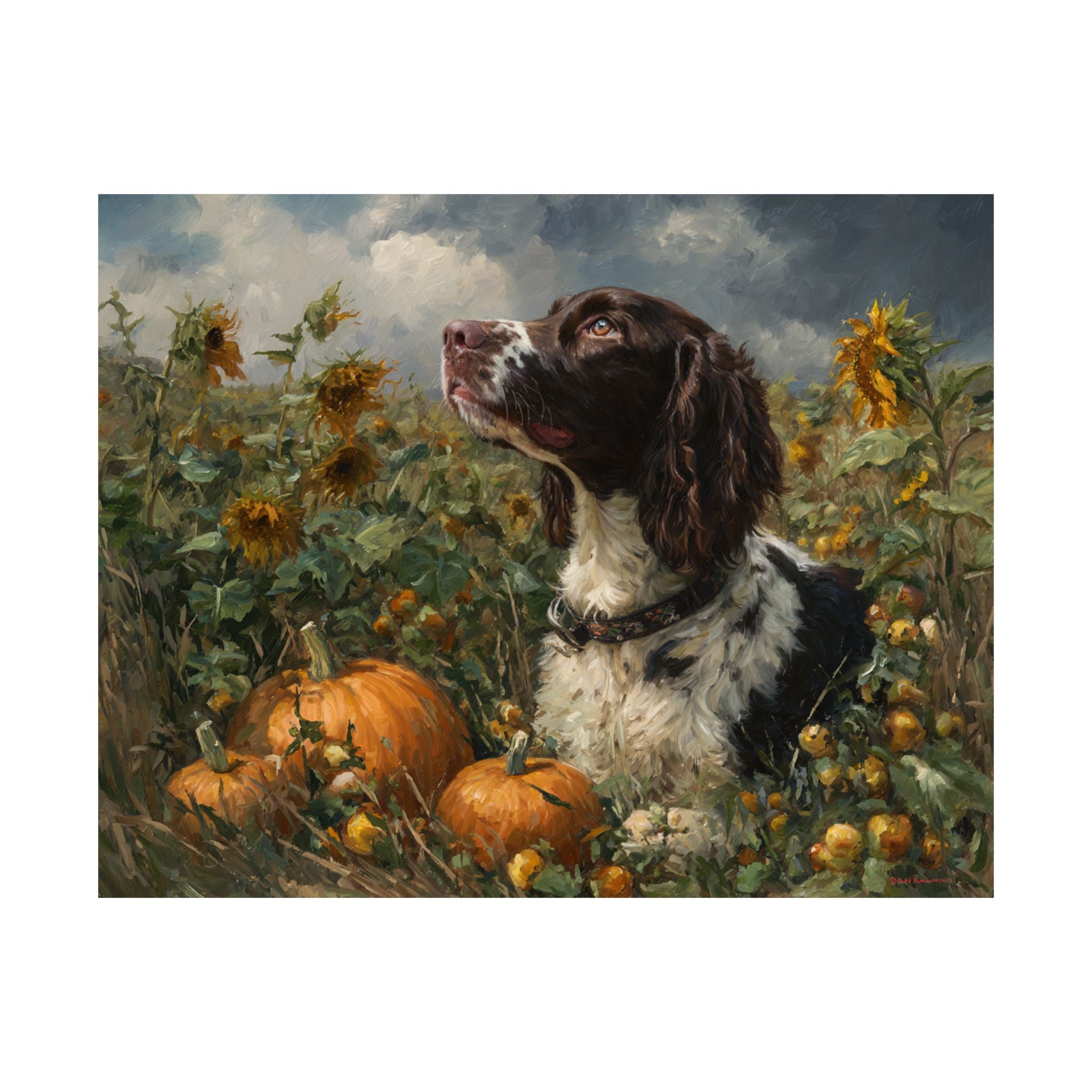 Springer Spaniel 3- Sunflower Season Collection