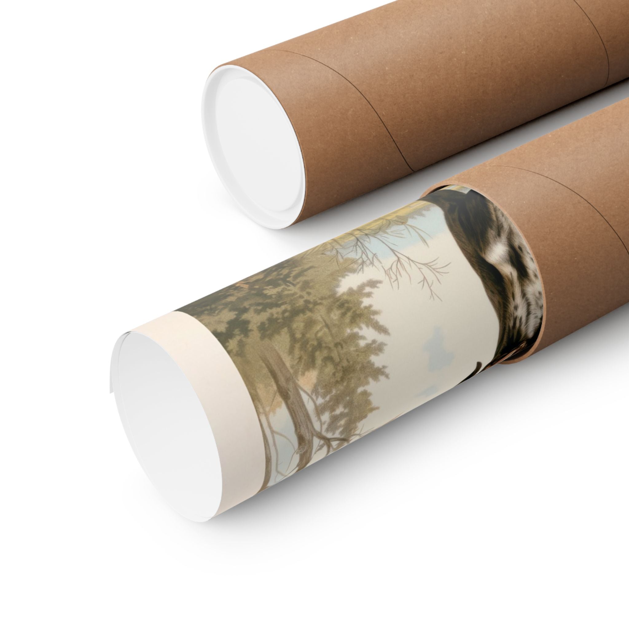 Short-Haired Pointer- CFA Edition