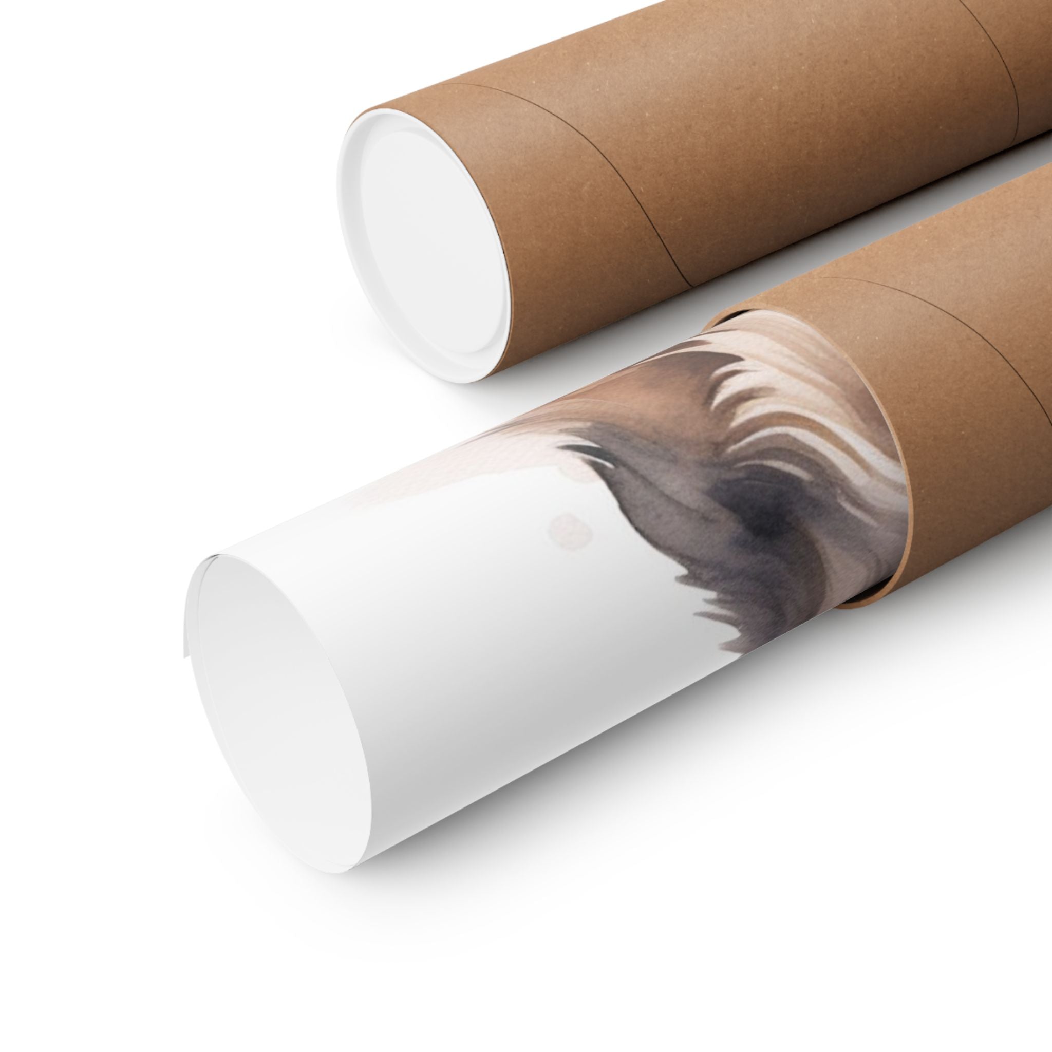 Yorkshire Terrier 3- Bow Collection