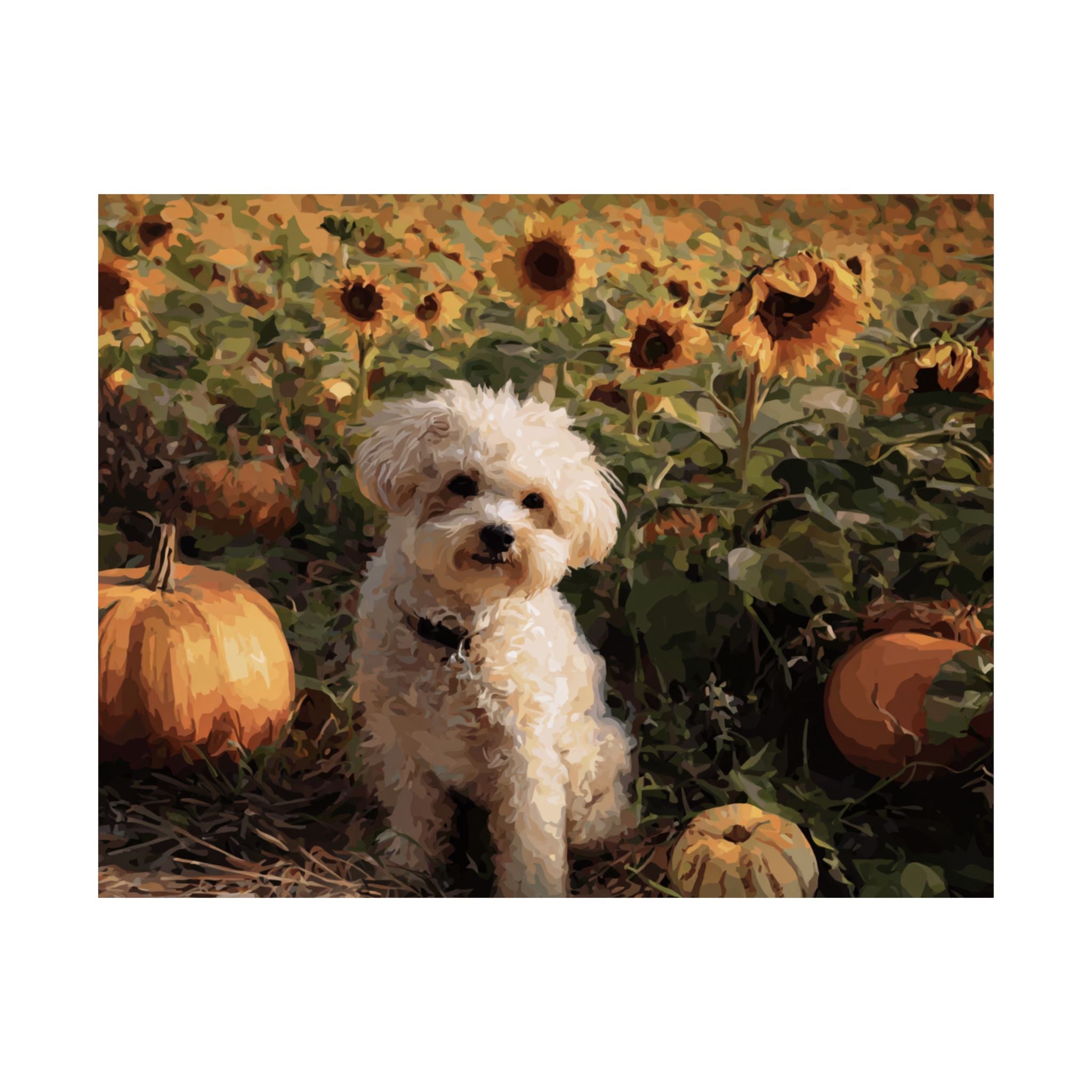 Mini Poodle 3- Sunflower Season Collection