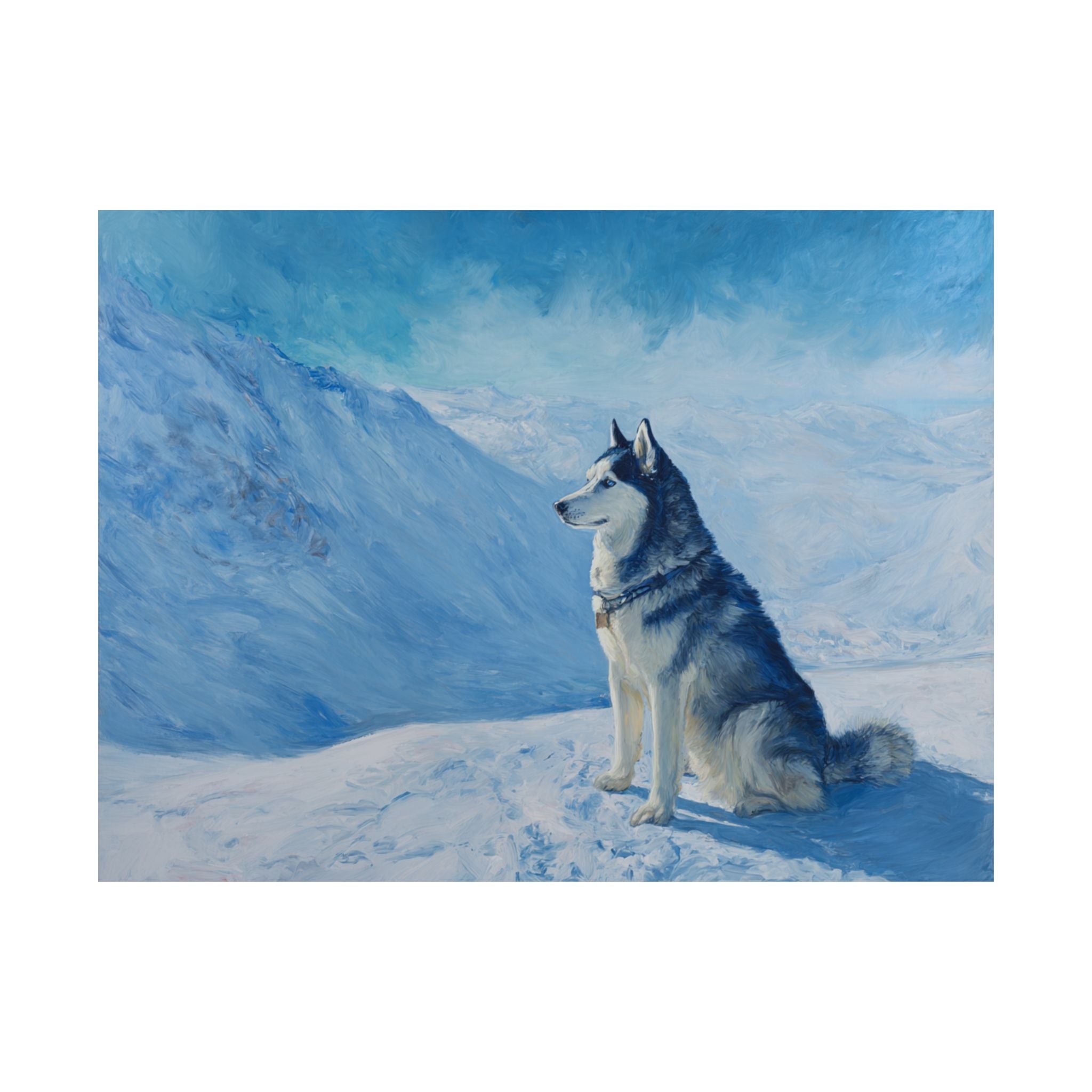Husky 3- Adventure Paws Collection