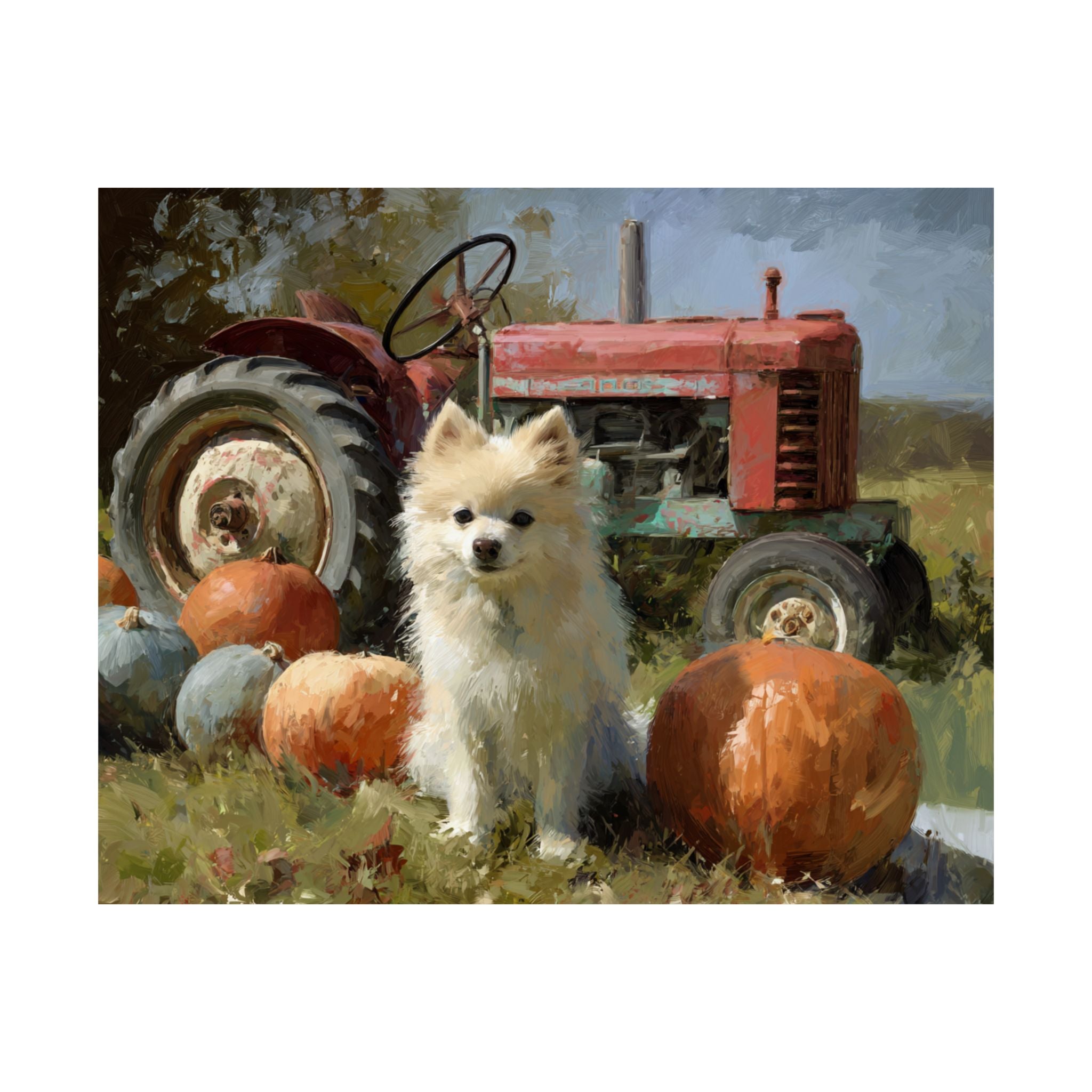Pomeranian 1- Pumpkin Patch Collection