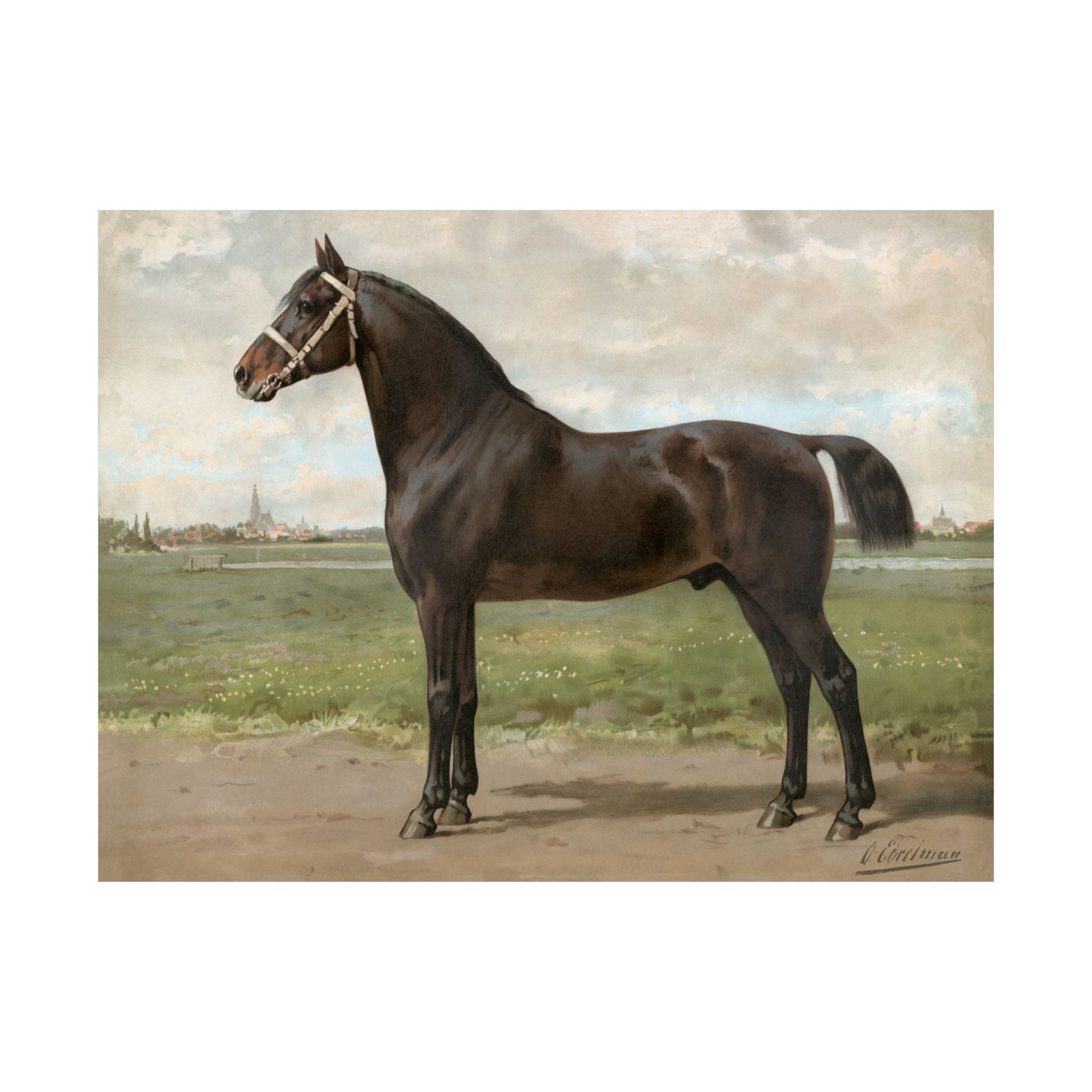 Groningin Frisian Horse- Eerelman Collection