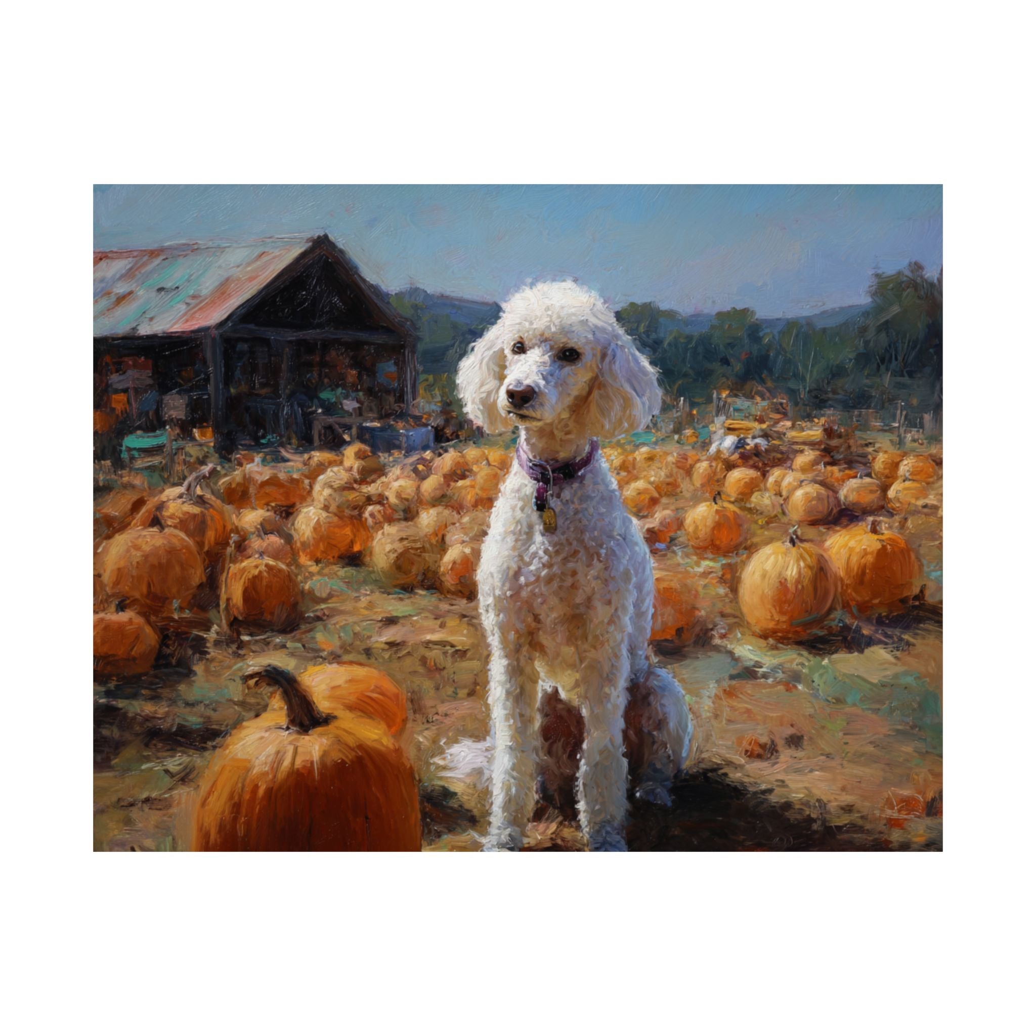 Poodle 5- Pumpkin Patch Collection