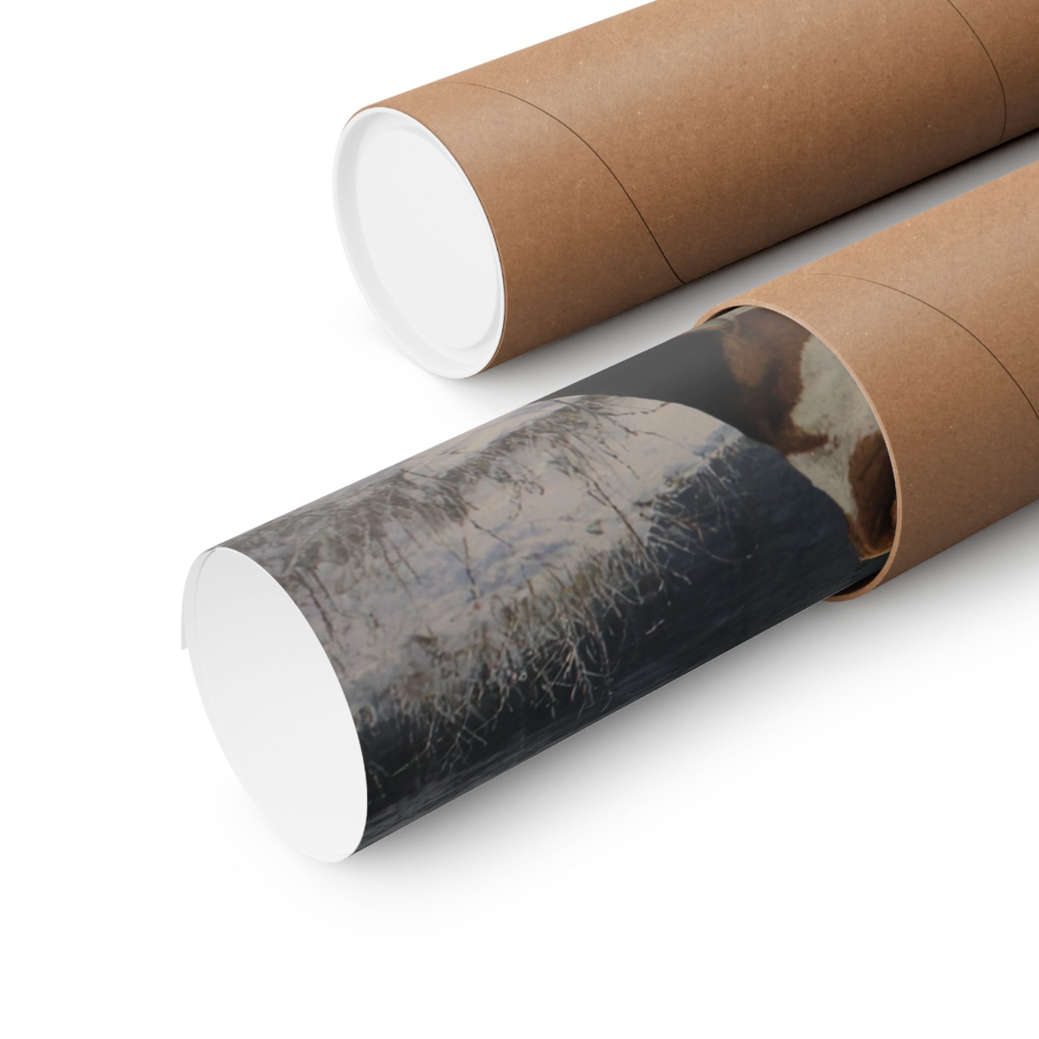 Beagle 7- Winter Whiskers Collection