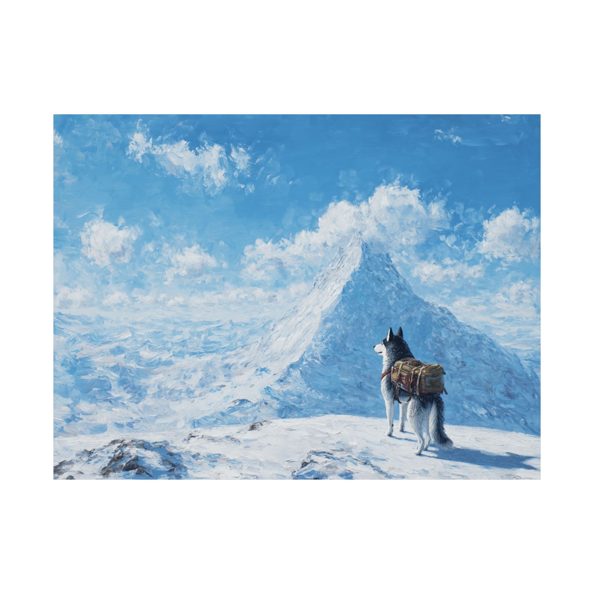 Husky 5- Adventure Paws Collection