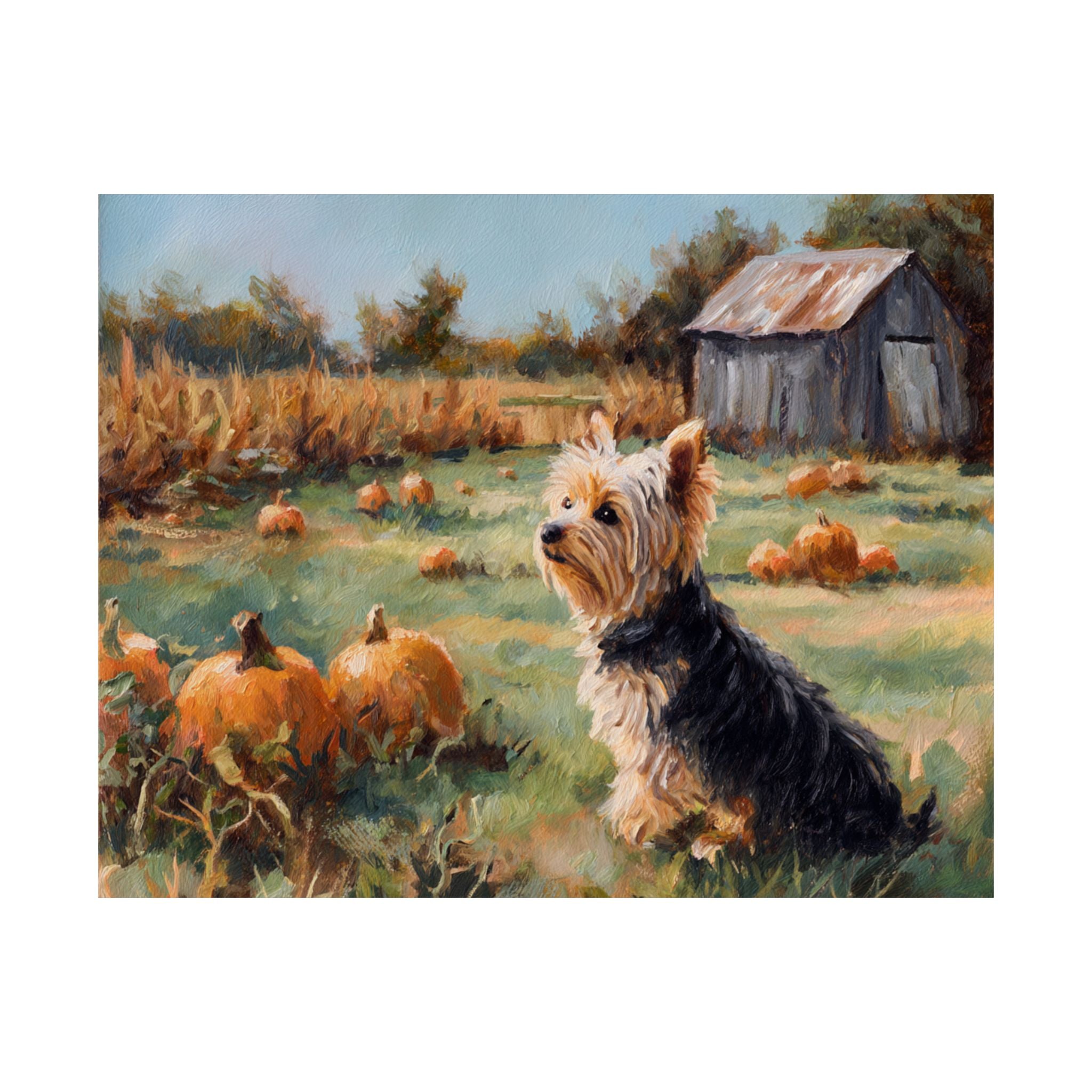 Yorkshire Terrier 3- Pumpkin Patch Collection