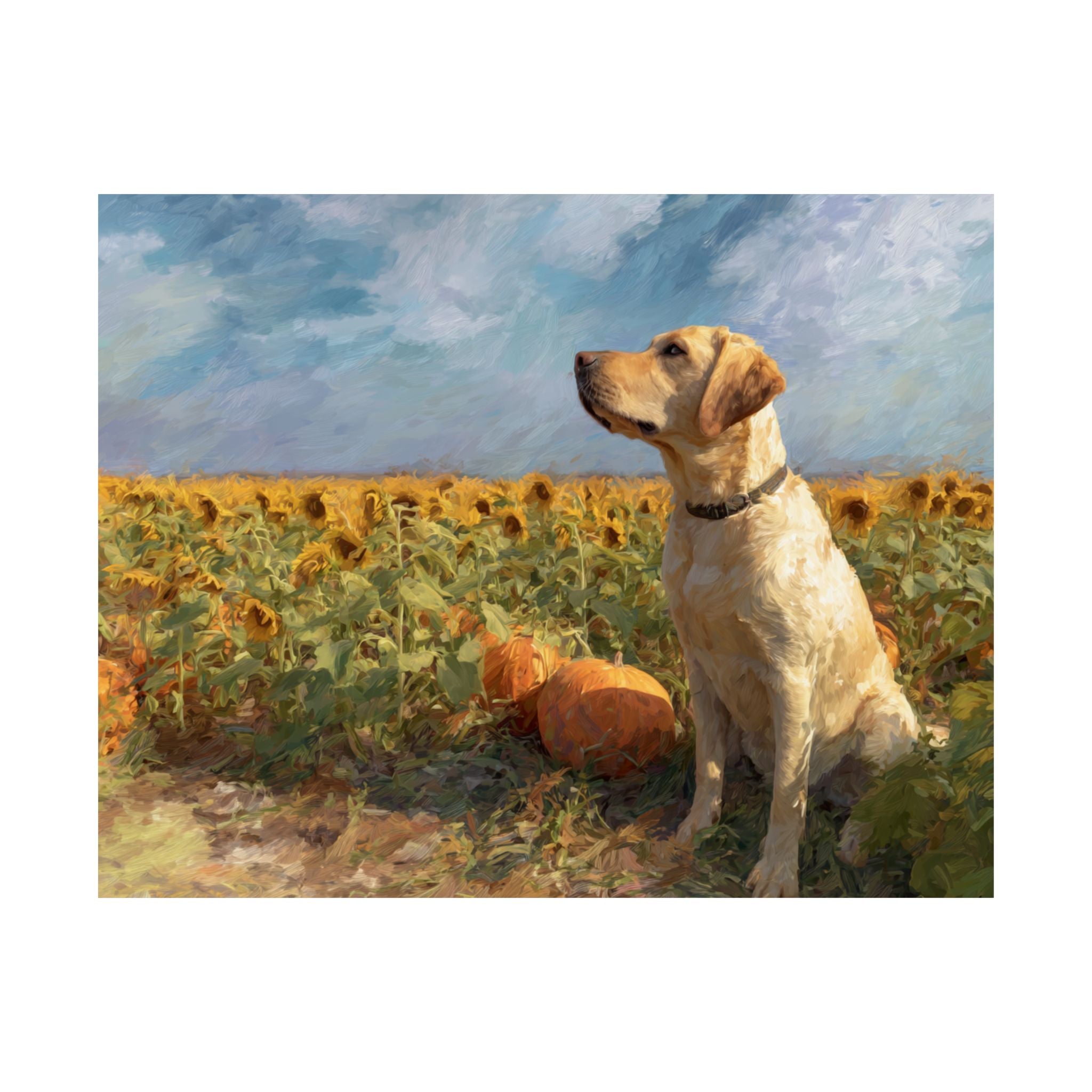 Labrador Retriever 3- Sunflower Season Collection