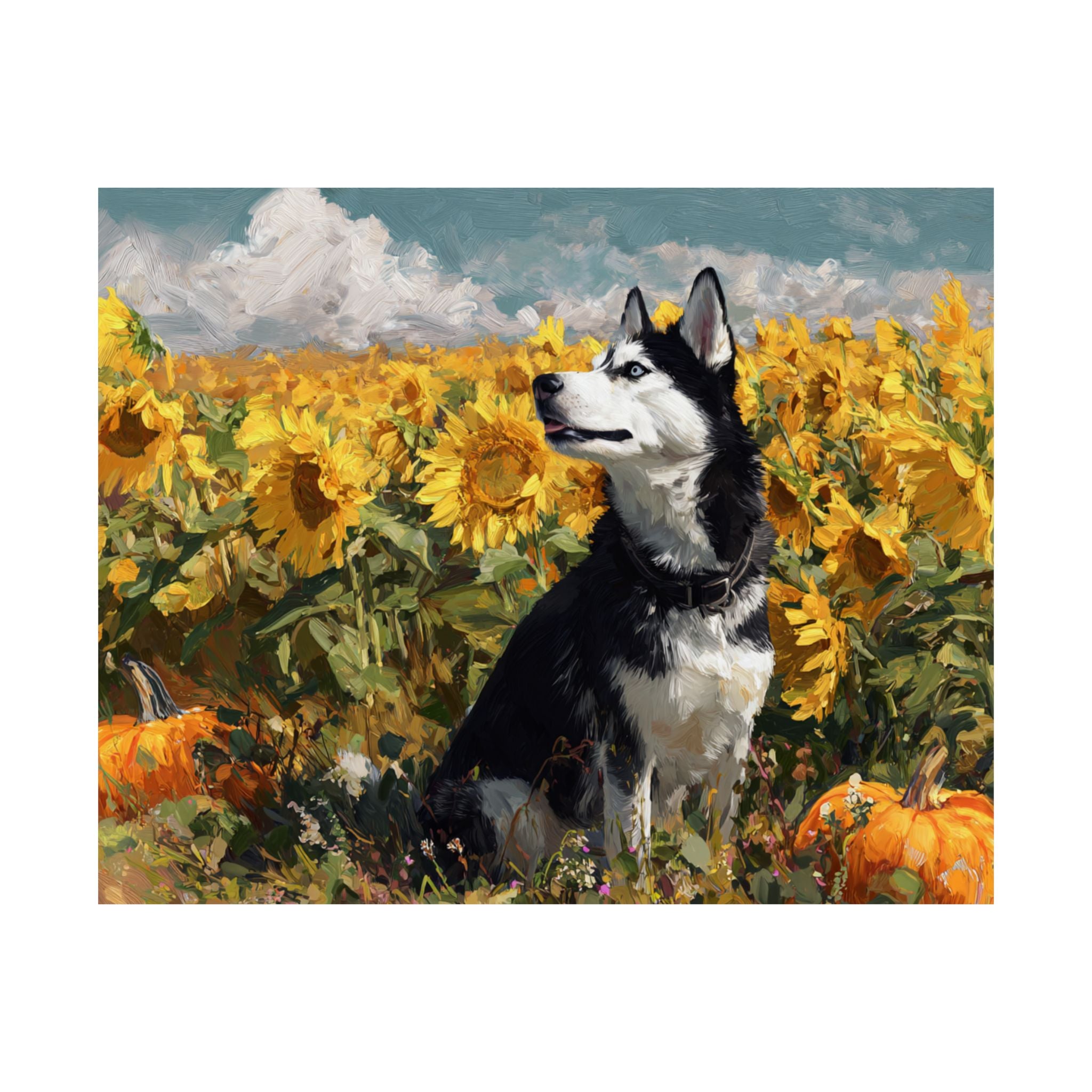 Husky 2- Sunflower Season Collection