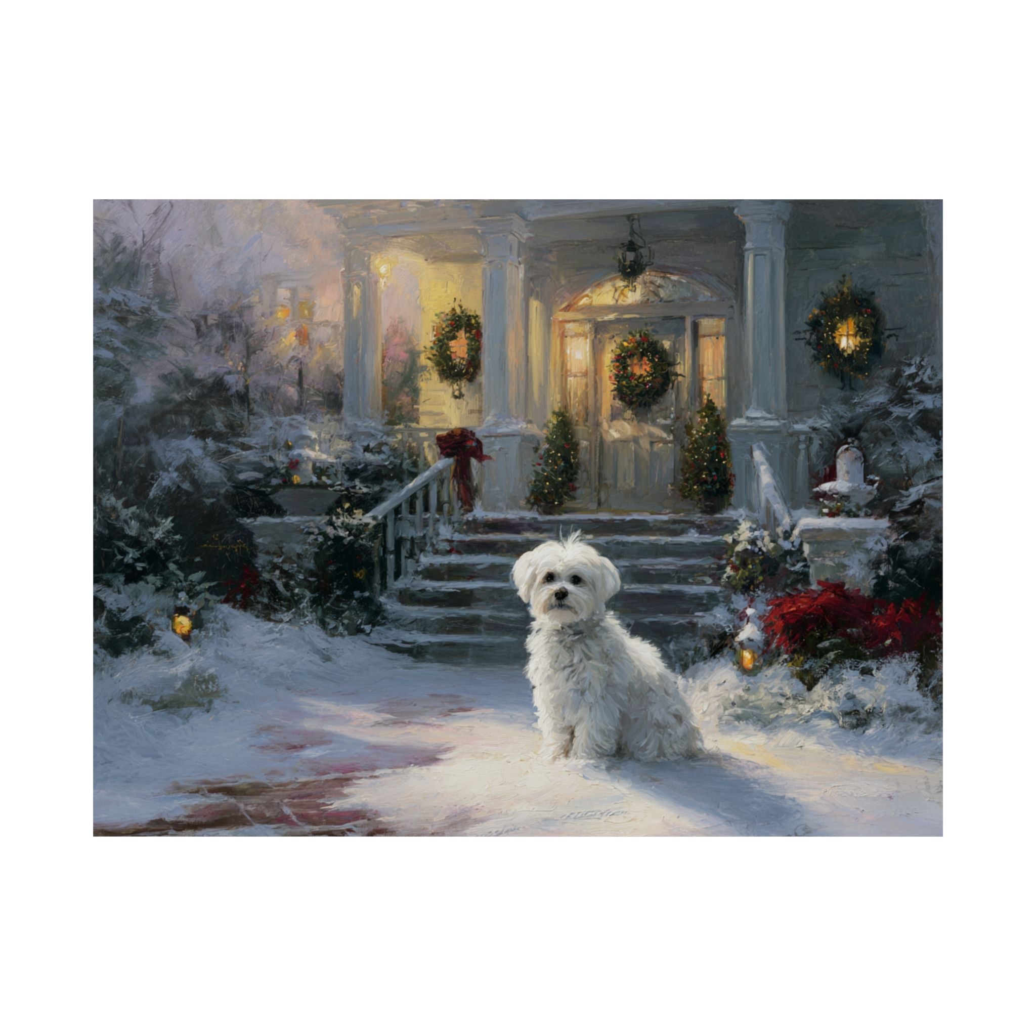 Maltese 3- Home for the Holidays Collection