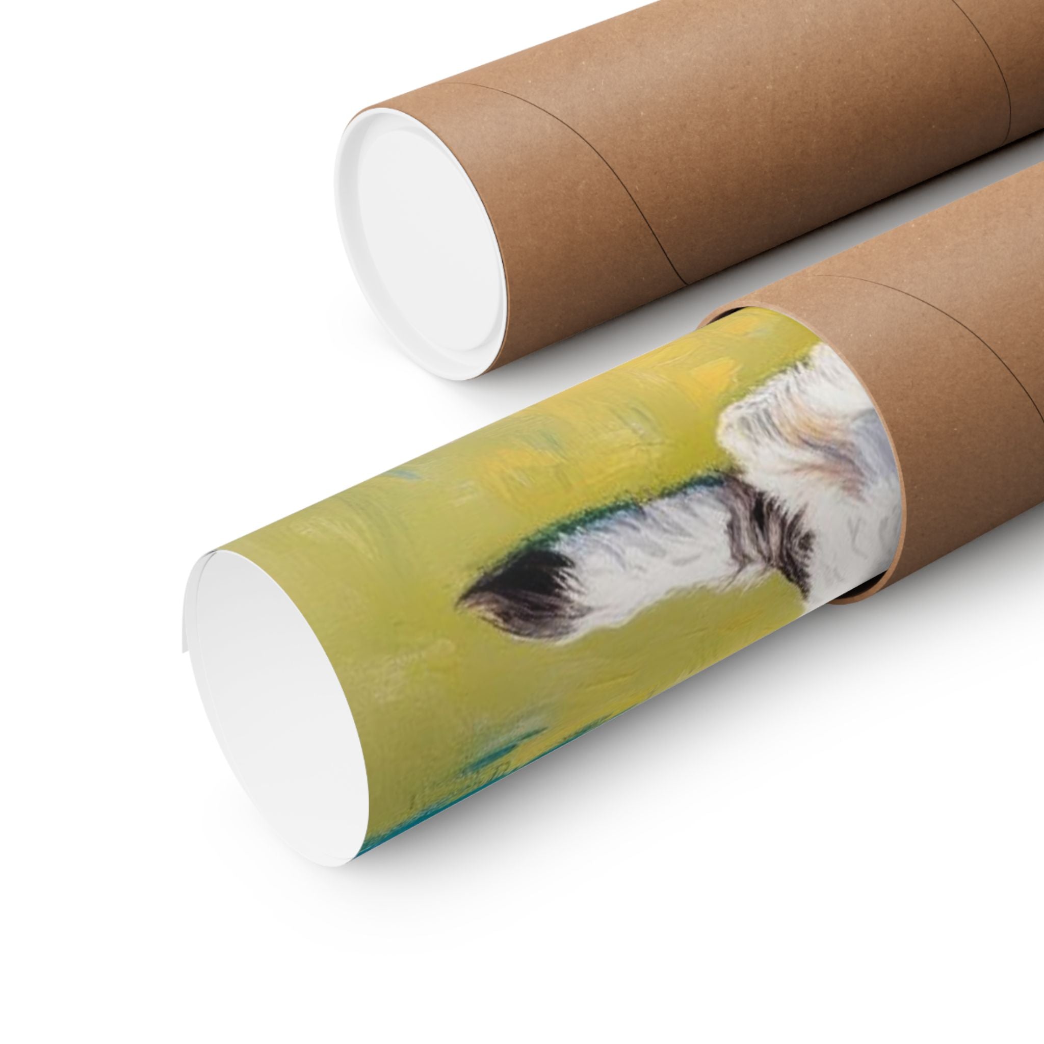 Aussiedoodle 1- Garden Collection