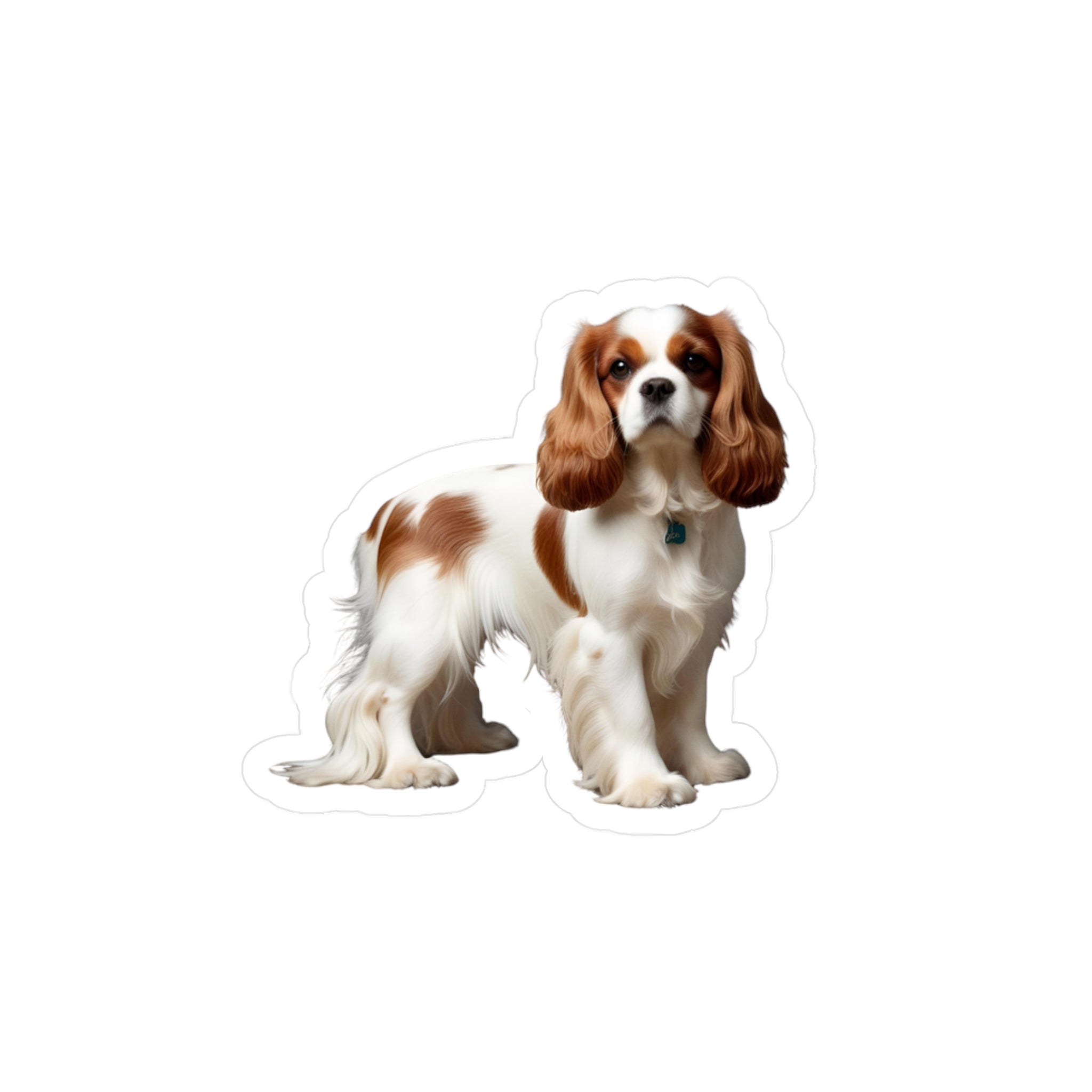 Cavalier King Charles Spaniel Vinyl Decal