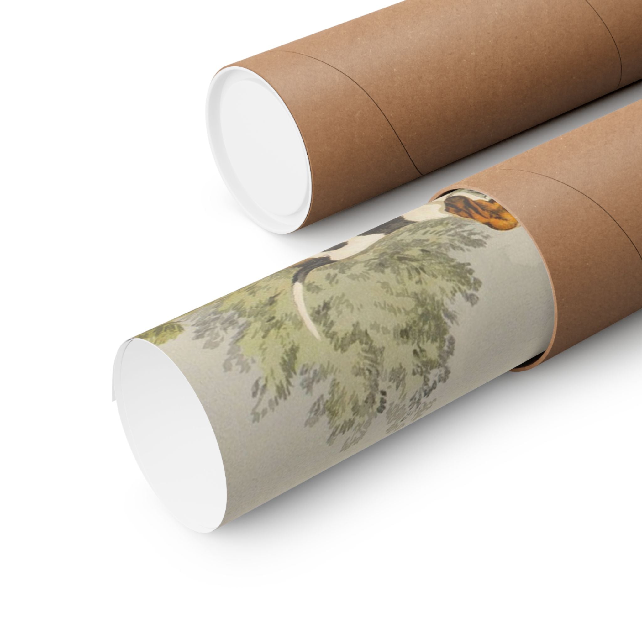 Beagles- Pope Collection